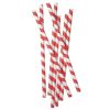 Kikkerland Set of 144 Paper Straws in Red Stripes