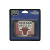 Chicago Bulls NBA Magnet
